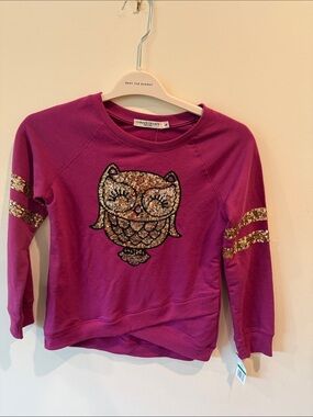 Chance or Fate Fuchsia Sequin Owl Sweatshirt